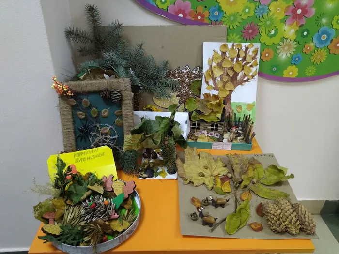 IMG_20241025_084914_BEAUTY