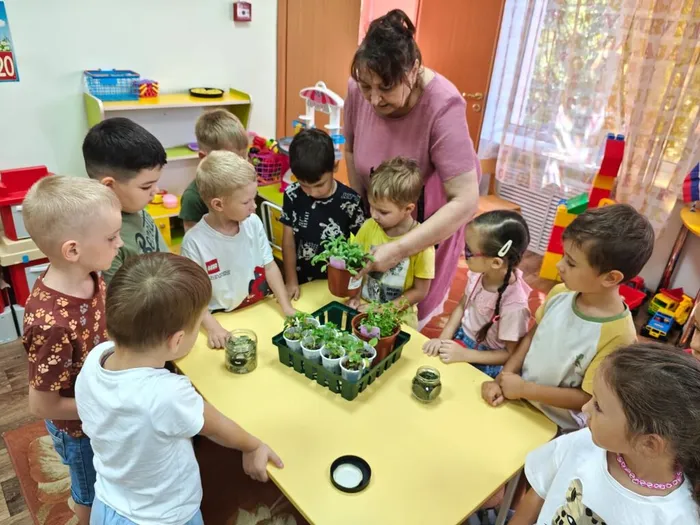 VDVqbxVUwmwQjSvbVrLecQjLQKAWfn3N0gKVKZVTlCnP3T_EHZzcz-svMWlBTLYvl-QdWwCbP4X3-W1odEsdtOGo