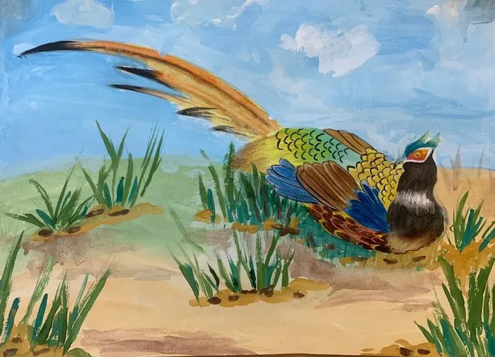 Выборова Полина Фазан