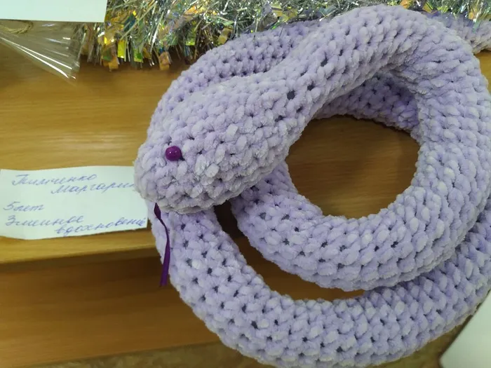 IMG_20241210_084641_BEAUTY