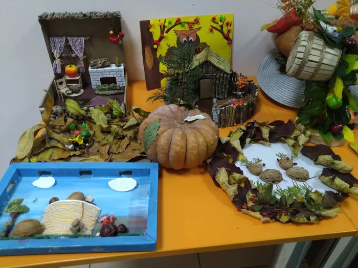 IMG_20241025_084810_BEAUTY