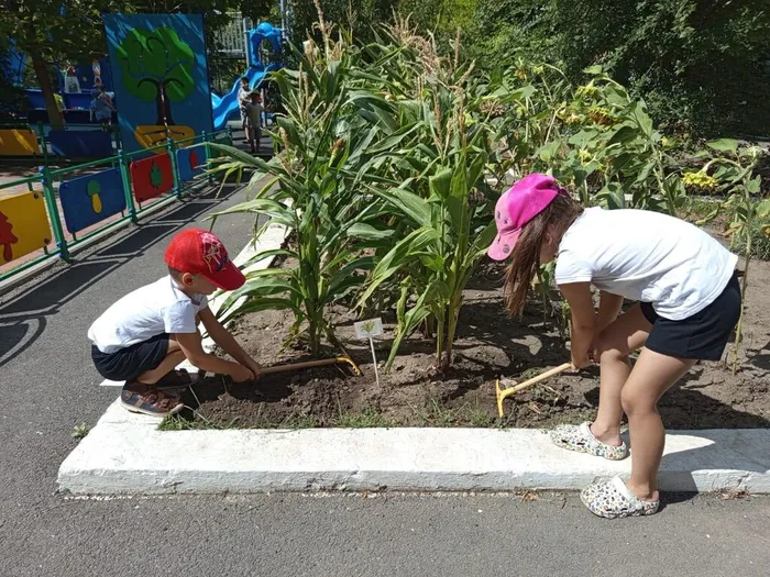 kHlmqAbw0iPLA3jdGzY34IJu0J_RYx3dbDrvLG0Jgf-5jc5a15rzTQI68C0OrKPhwdC67q1ND9off-aY0tUdee8L