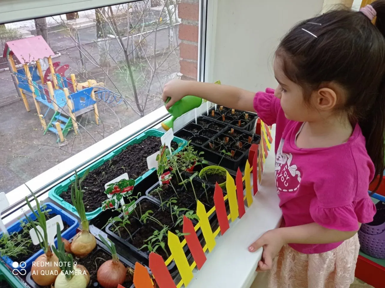 5a872bff-9741-45f8-ba11-9b393b4611a3