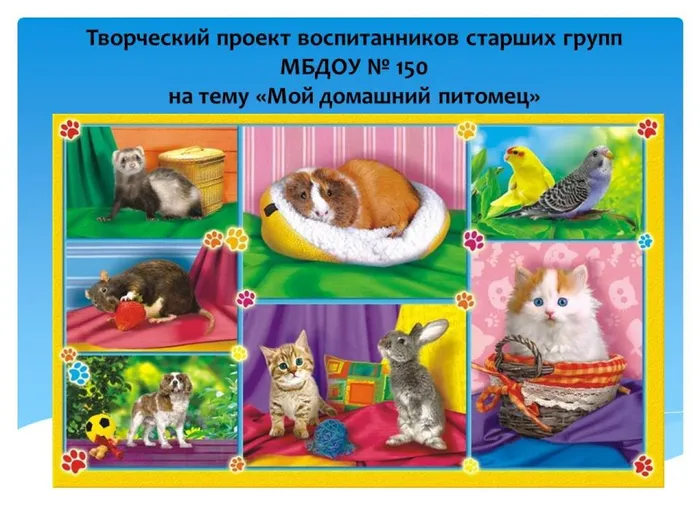 Творческий проект воспитанников старших групп  МБД