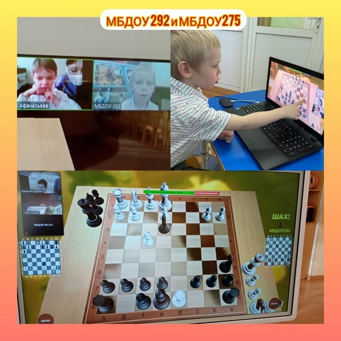 InShot_20210129_151731527