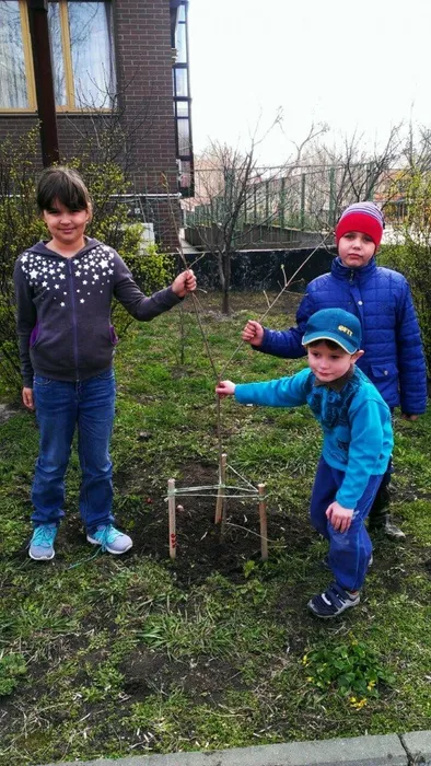 МБДОУ № 150  1