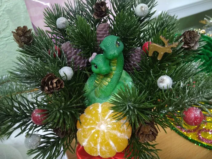 IMG_20241210_084542_BEAUTY