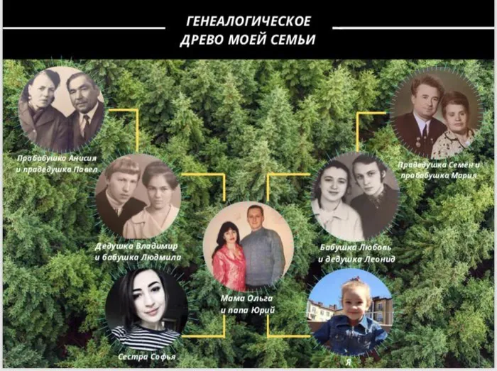 Чередниченко генеологическое древо семьи