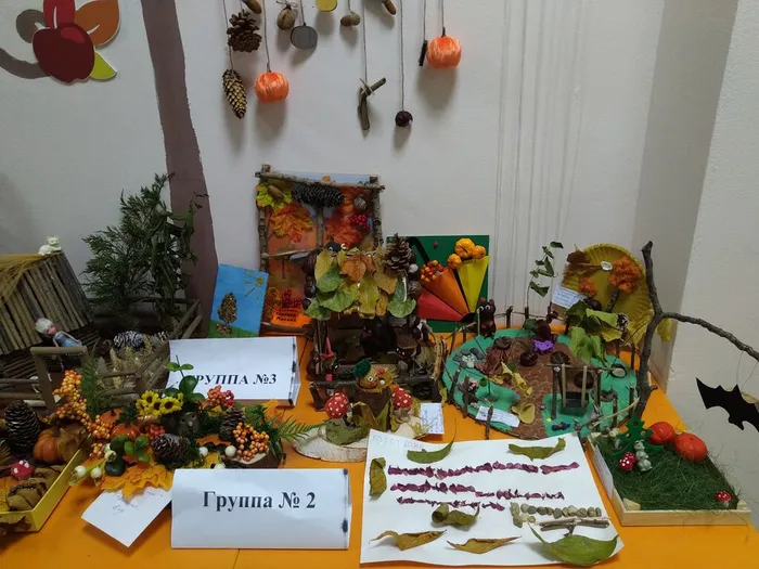 IMG_20241025_084902_BEAUTY